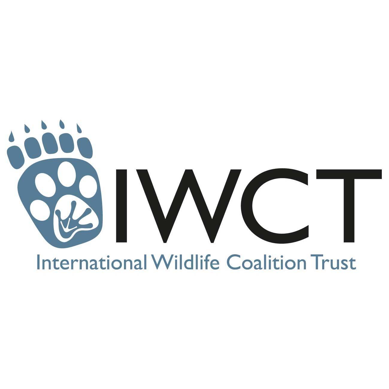 IWCTUK Profile Picture