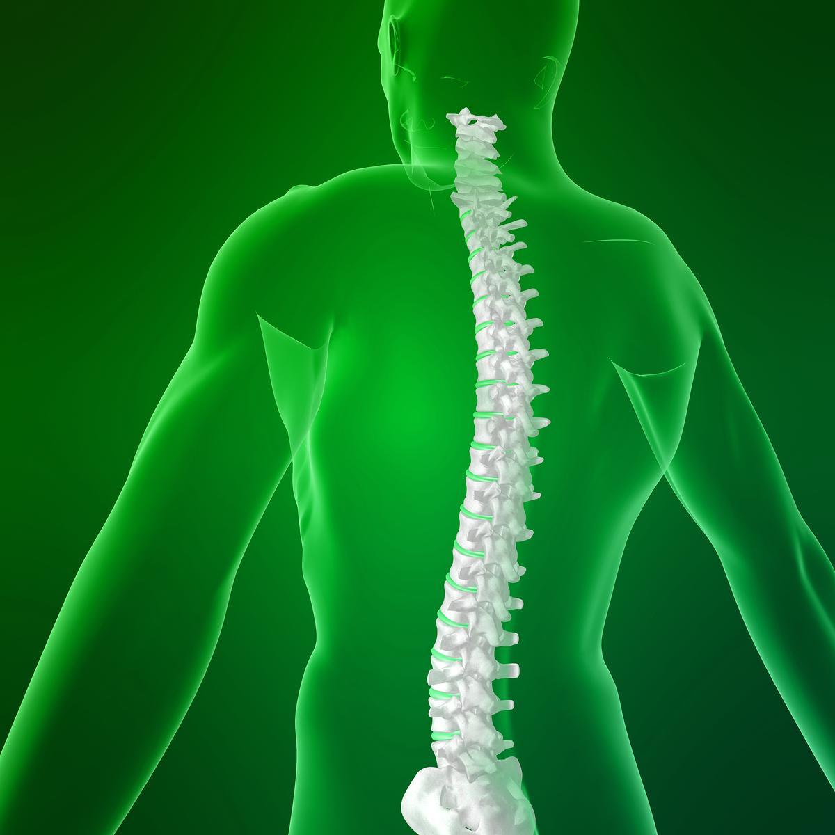 We believe that the body heals from the inside and that everyone has the potential and the right to be healthier, more vital and get more from life
