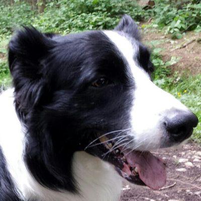 newtboro's profile picture. 