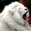 WaheeD Khan (@03012005239Khan) Twitter