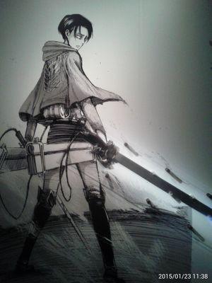 119AWSP's profile picture. 二次元垢▶▷虹色デイズ*つよぽんぬ*日々蝶々*胸が高鳴るのは君のせい*進撃の巨人