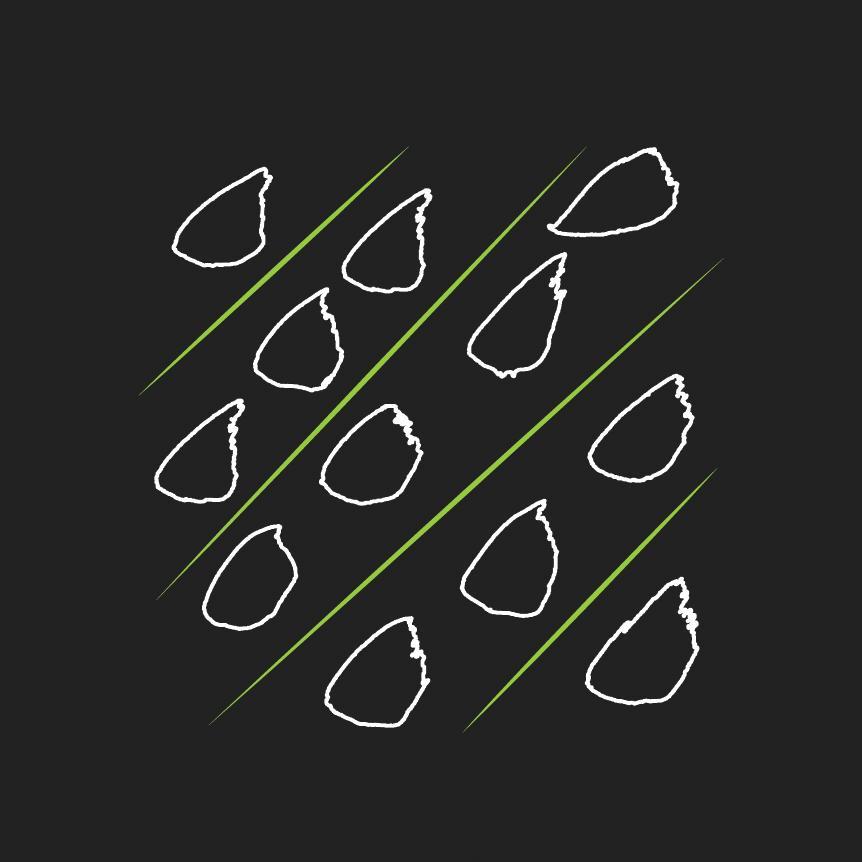 Fairfruit Group was created in 2014 in order to bring together different companies and production sites under the same name.
