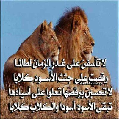‏‏- لا تعاتب من جفاك ...! من زهد في عشرتك خله يروووووح أخطيت وعذرناك وقلت لك ياصاحبي مسموح لكن اليوم .. وش بلاك تراك زودت علي الجروووووح.