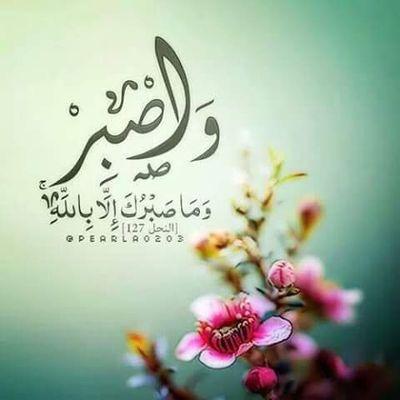 youssef21janvie's profile picture. 