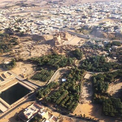 بين النخيل والتاريخ