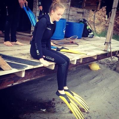 PienvdDonk's profile picture. Arctic Monkeys / 16 / The Netherlands