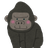 goringo3377