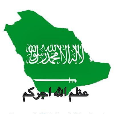 50Besso's profile picture. 