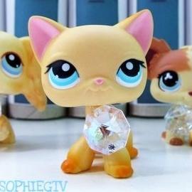 Hello!This Acc will be all updates of LPS Popular series by SophieGTV.I am NOT real Sophie I am just a fan :)