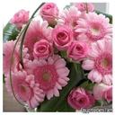 هبه قليصي (@1390Habo) Twitter
