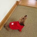 Ray Fallen - @ND8L - Twitter