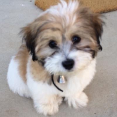 esoj86's profile picture. 