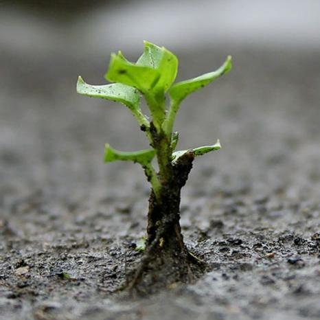 SANGUE_INFETTO's profile picture. #SANGUEINFETTO - Storia di DANNEGGIATI, DIMENTICATI, UMILIATI, BEFFATI e IGNORATI ...