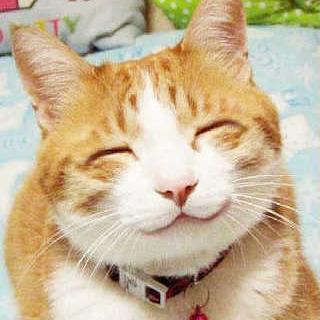 silver_moon3's profile picture. 日常生活で感じ方ことをありのままにつぶやきます。