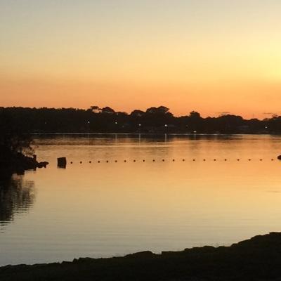 ShadowEire's profile picture. 