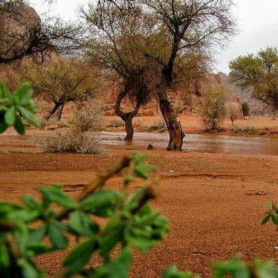 ‏انستقرام ‎@shmlol507