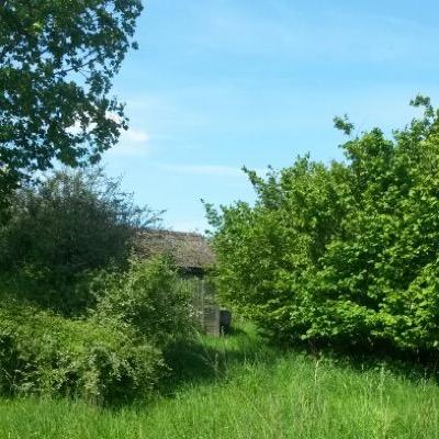 Photo diary of a beautiful smallholding. We are reclaiming a plot that has been untouched for years! Follow us as we develop and grow.