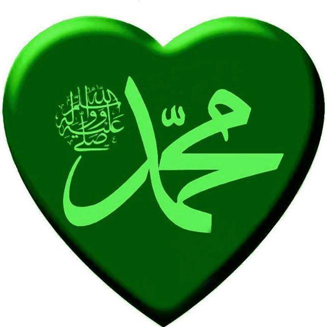 GunhanSelma's profile picture. 