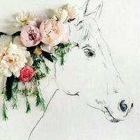 هند الحريري (@11a113523cf2436) 's Twitter Profile