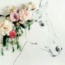 هند الحريري (@11a113523cf2436) Twitter