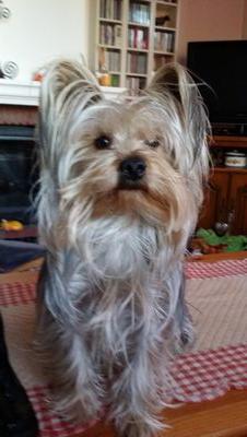 SDelevallee's profile picture. 