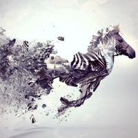 Mark Best (@markbestforex) 's Twitter Profile Photo Mark Best (@markbestforex) 's Twitter Profile Photo