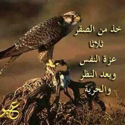 ‏ضيفوني قروبات