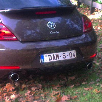 GeoffroyDams's profile picture. 