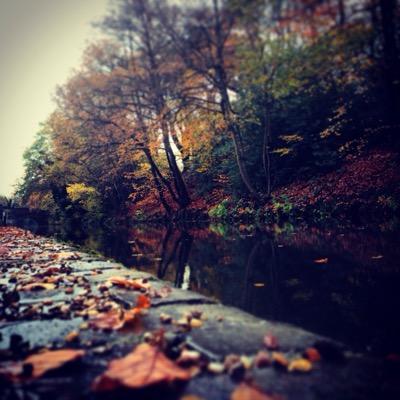 promtionwork's profile picture. 