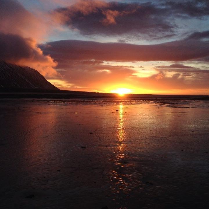 NatureNotes2015's profile picture. 