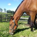 Rolando Pérez - @rapr07 - Twitter