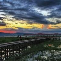 Telaga Gorontalo (@orangtelaga) 's Twitter Profile