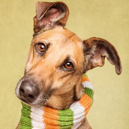 ilguizza's profile picture. 