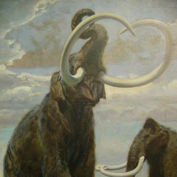 Aqui ustedes podran ver algunas de las cosas mas interesantes sobre los seres vivos del planeta, acuaticos,terrestres,prehistoricos etc..