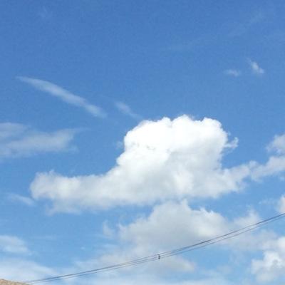 chiy318's profile picture. 阪大工学☆最高の毎日