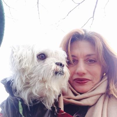 tweety6532's profile picture. 