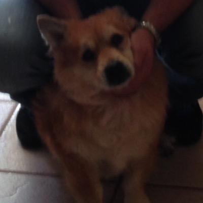 pradomd1's profile picture. 