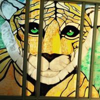 Taos Tigers (@taostigers) 's Twitter Profile