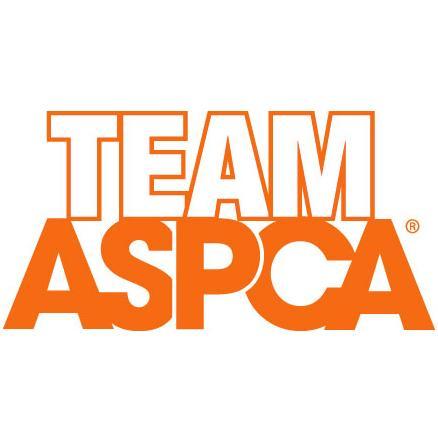 For all Team ASPCA news and updates, follow our main account @ASPCA!