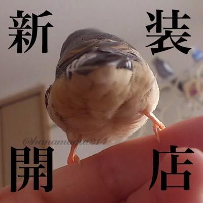 のんびりをモットーにやっております(´∀｀*) アニメ/ボカロ/写真/ディズニー/エレキベース などなどとっても多趣味でーす♪ 趣味の合う人よろしくです(*`･ω･)ゞ