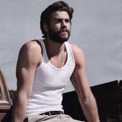 Hunter. Rebel. Friend. 
[THG RP]