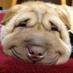 Виталий Соколовский (@sokolovskiy_63) Twitter profile photo