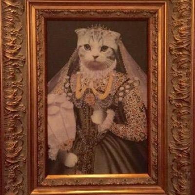 duchess of kitty town