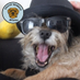Bernie The Border ๐ (@bernietheborder) Twitter profile photo Bernie The Border ๐ (@bernietheborder) Twitter profile photo
