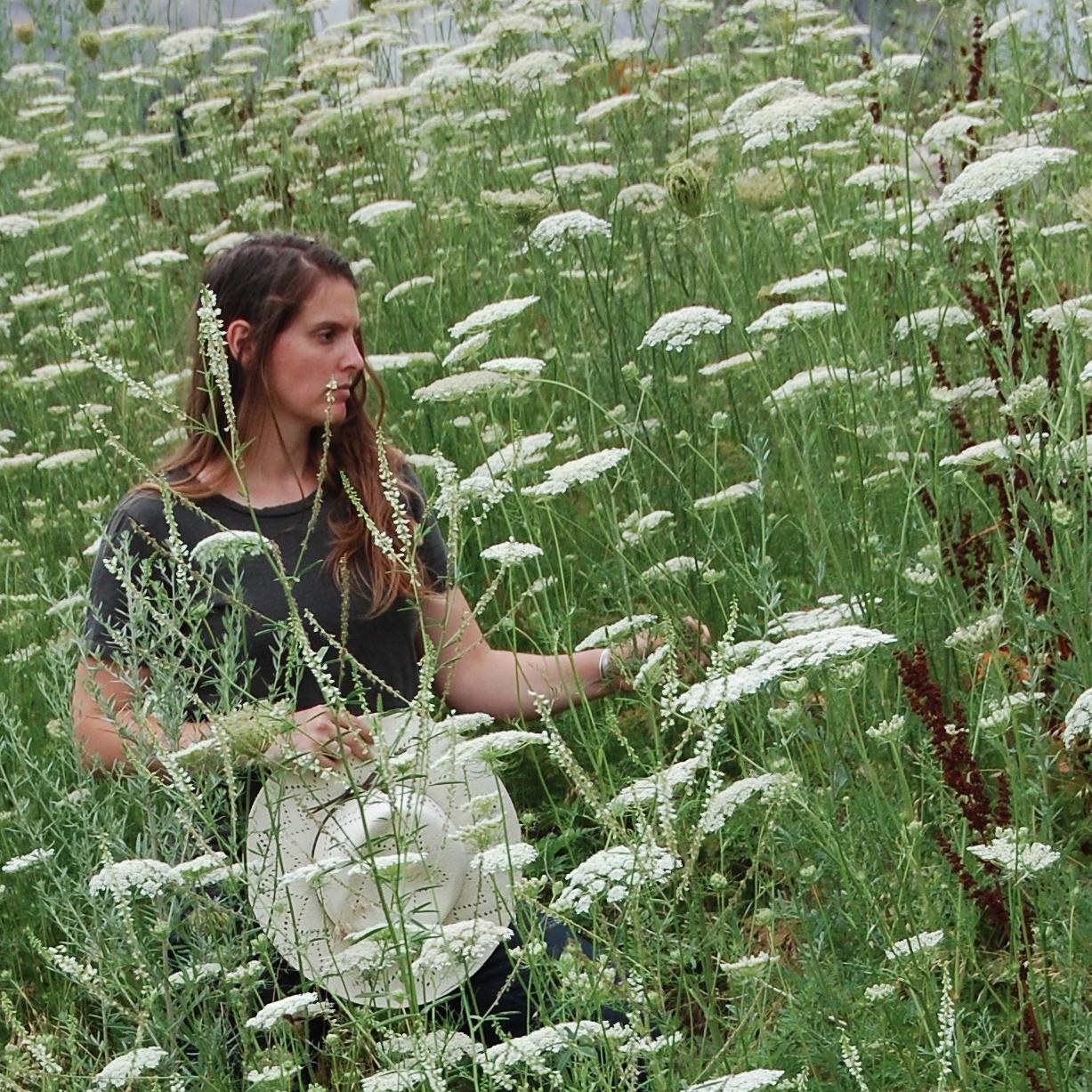 gamine_co's profile picture. Horticulturist at the Gardner Musuem, designer of women's workwear.