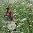 gamine_co's profile image