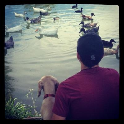 radbxism's profile picture. shoelace