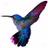 deborahcoyle1's profile image