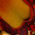 Durham HotWife (@hotwife_durham) Twitter profile photo