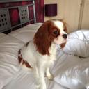 Jess bailey - @JessbaileyJess - Twitter